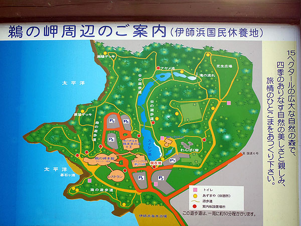 鵜の岬